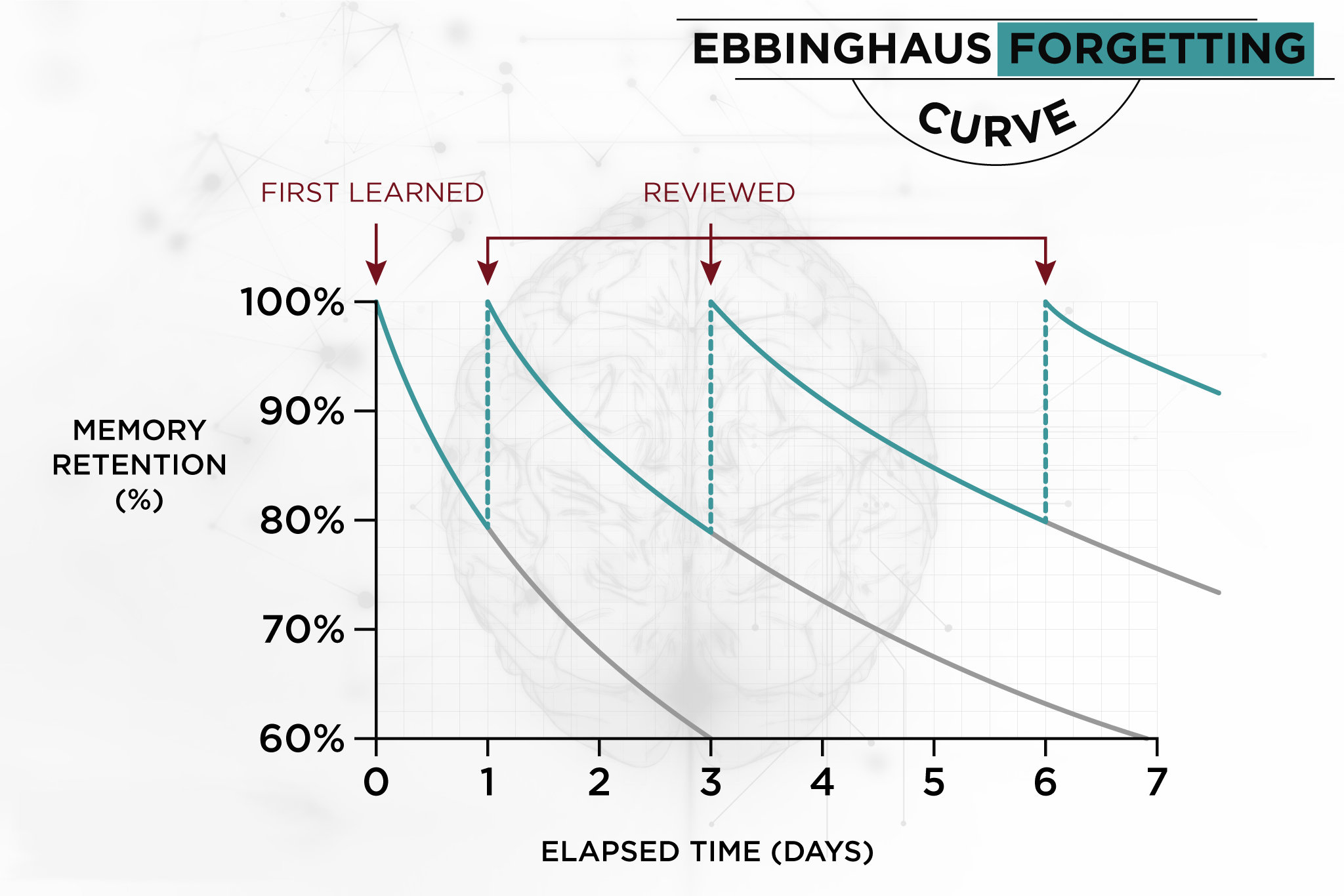Đường cong quên lãng Hermann Ebbinghaus